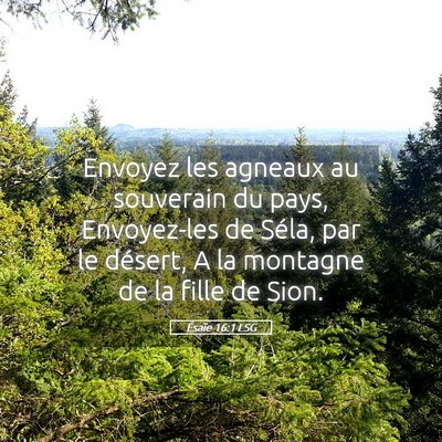 Picture 05 - Ésaïe 16:1 LSG - Envoyez les agneaux au souverain du pays, - Bible Verse Picture