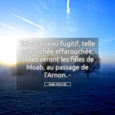 Picture 05 - Ésaïe 16:2 LSG - Tel un oiseau fugitif, telle une nichée - Bible Verse Picture