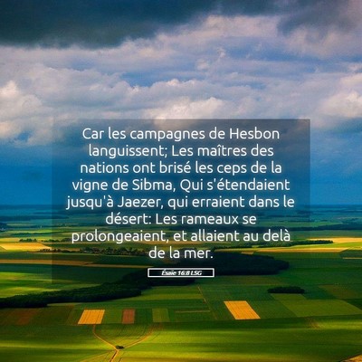 Picture 05 - Ésaïe 16:8 LSG - Car les campagnes de Hesbon languissent; Les - Bible Verse Picture