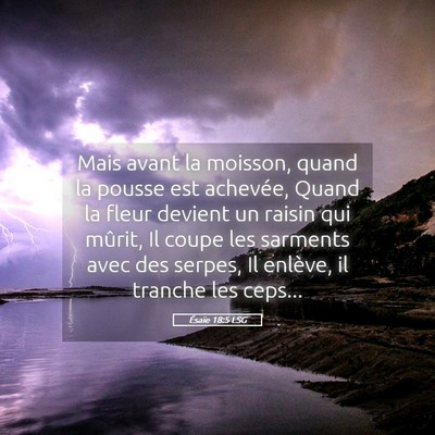 Picture 05 - Ésaïe 18:5 LSG - Mais avant la moisson, quand la pousse est - Bible Verse Picture