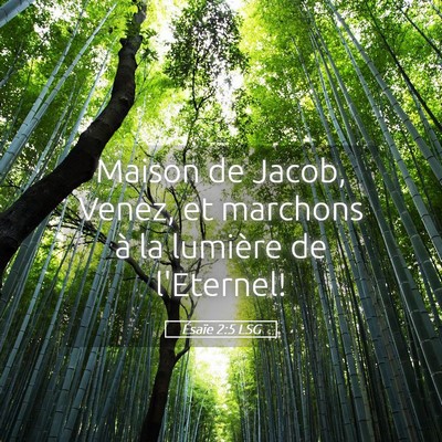 Picture 05 - Ésaïe 2:5 LSG - Maison de Jacob, Venez, et marchons à la - Bible Verse Picture
