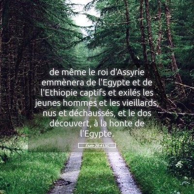 Picture 05 - Ésaïe 20:4 LSG - de même le roi d'Assyrie emmènera de l'Egypte - Bible Verse Picture