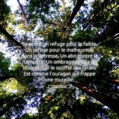 Picture 05 - Ésaïe 25:4 LSG - Tu as été un refuge pour le faible, Un refuge - Bible Verse Picture