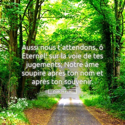 Picture 05 - Ésaïe 26:8 LSG - Aussi nous t'attendons, ô Eternel! sur la voie - Bible Verse Picture