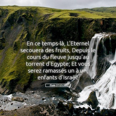 Picture 05 - Ésaïe 27:12 LSG - En ce temps-là, L'Eternel secouera des fruits, - Bible Verse Picture