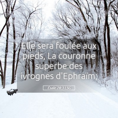 Picture 05 - Ésaïe 28:3 LSG - Elle sera foulée aux pieds, La couronne superbe - Bible Verse Picture