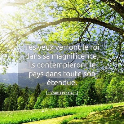 Picture 05 - Ésaïe 33:17 LSG - Tes yeux verront le roi dans sa magnificence, Ils - Bible Verse Picture