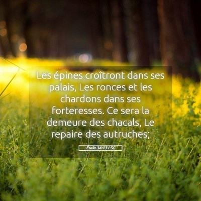 Picture 05 - Ésaïe 34:13 LSG - Les épines croîtront dans ses palais, Les - Bible Verse Picture