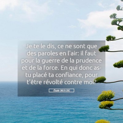 Picture 05 - Ésaïe 36:5 LSG - Je te le dis, ce ne sont que des paroles en - Bible Verse Picture