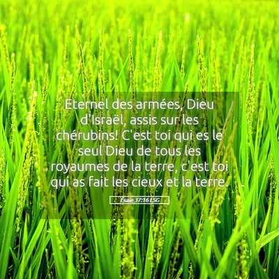 Picture 05 - Ésaïe 37:16 LSG - Eternel des armées, Dieu d'Israël, assis sur - Bible Verse Picture