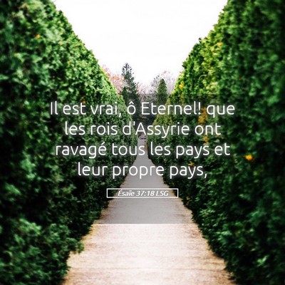 Picture 05 - Ésaïe 37:18 LSG - Il est vrai, ô Eternel! que les rois d'Assyrie - Bible Verse Picture