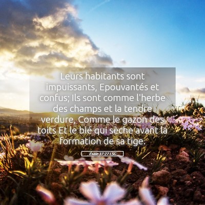 Picture 05 - Ésaïe 37:27 LSG - Leurs habitants sont impuissants, Epouvantés et - Bible Verse Picture
