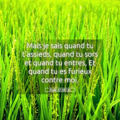 Picture 05 - Ésaïe 37:28 LSG - Mais je sais quand tu t'assieds, quand tu sors et - Bible Verse Picture