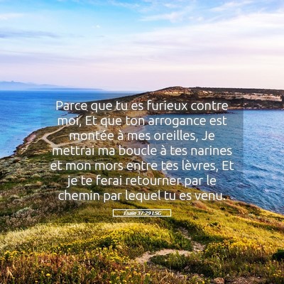 Picture 05 - Ésaïe 37:29 LSG - Parce que tu es furieux contre moi, Et que ton - Bible Verse Picture
