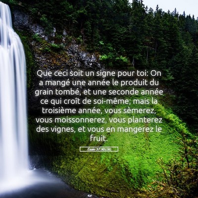 Picture 05 - Ésaïe 37:30 LSG - Que ceci soit un signe pour toi: On a mangé une - Bible Verse Picture