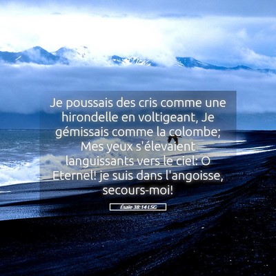 Picture 05 - Ésaïe 38:14 LSG - Je poussais des cris comme une hirondelle en - Bible Verse Picture