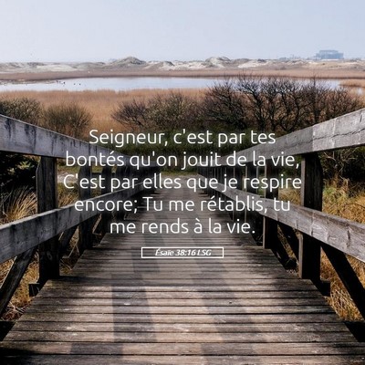 Picture 05 - Ésaïe 38:16 LSG - Seigneur, c'est par tes bontés qu'on jouit de la - Bible Verse Picture