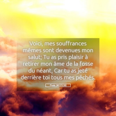 Picture 05 - Ésaïe 38:17 LSG - Voici, mes souffrances mêmes sont devenues mon - Bible Verse Picture