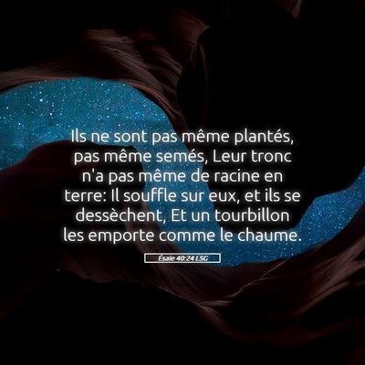 Picture 05 - Ésaïe 40:24 LSG - Ils ne sont pas même plantés, pas même semés, - Bible Verse Picture