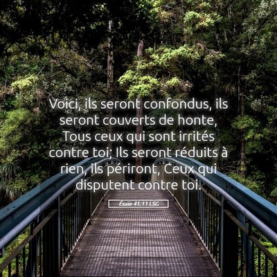 Picture 05 - Ésaïe 41:11 LSG - Voici, ils seront confondus, ils seront couverts - Bible Verse Picture