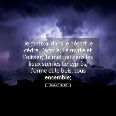 Picture 05 - Ésaïe 41:19 LSG - Je mettrai dans le désert le cèdre, l'acacia, - Bible Verse Picture