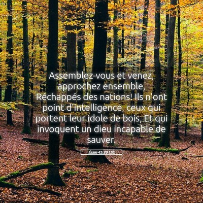 Picture 05 - Ésaïe 45:20 LSG - Assemblez-vous et venez, approchez ensemble, - Bible Verse Picture