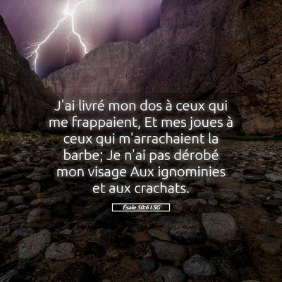 Picture 05 - Ésaïe 50:6 LSG - J'ai livré mon dos à ceux qui me frappaient, Et - Bible Verse Picture