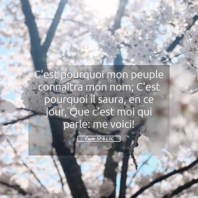 Picture 05 - Ésaïe 52:6 LSG - C'est pourquoi mon peuple connaîtra mon nom; - Bible Verse Picture