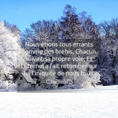 Picture 05 - Ésaïe 53:6 LSG - Nous étions tous errants comme des brebis, - Bible Verse Picture