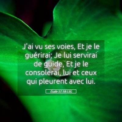 Picture 05 - Ésaïe 57:18 LSG - J'ai vu ses voies, Et je le guérirai; Je lui - Bible Verse Picture
