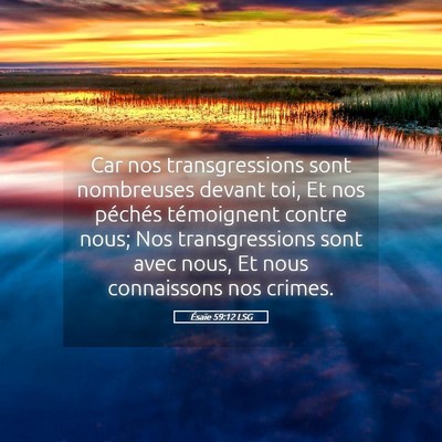 Picture 05 - Ésaïe 59:12 LSG - Car nos transgressions sont nombreuses devant - Bible Verse Picture