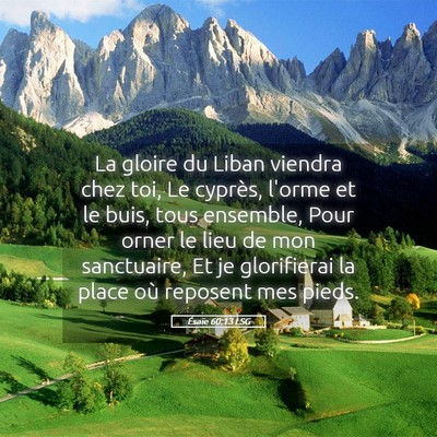 Picture 05 - Ésaïe 60:13 LSG - La gloire du Liban viendra chez toi, Le cyprès, - Bible Verse Picture