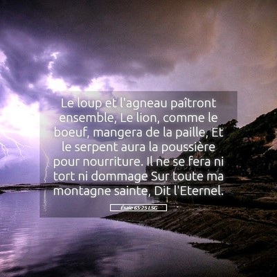 Picture 05 - Ésaïe 65:25 LSG - Le loup et l'agneau paîtront ensemble, Le lion, - Bible Verse Picture