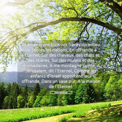 Picture 05 - Ésaïe 66:20 LSG - Ils amèneront tous vos frères du milieu de - Bible Verse Picture