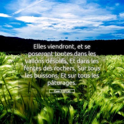 Picture 05 - Ésaïe 7:19 LSG - Elles viendront, et se poseront toutes dans les - Bible Verse Picture