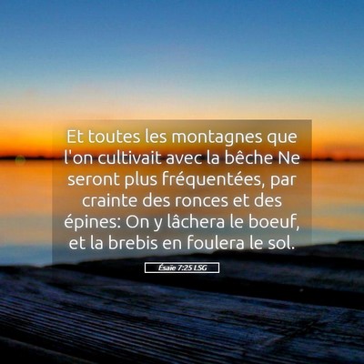 Picture 05 - Ésaïe 7:25 LSG - Et toutes les montagnes que l'on cultivait avec - Bible Verse Picture