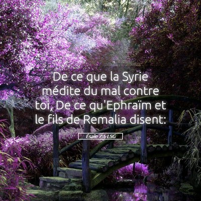 Picture 05 - Ésaïe 7:5 LSG - De ce que la Syrie médite du mal contre toi, De - Bible Verse Picture