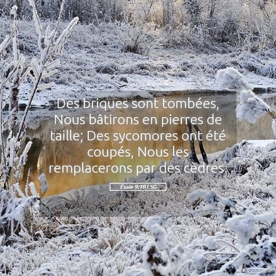 Picture 05 - Ésaïe 9:10 LSG - Des briques sont tombées, Nous bâtirons en - Bible Verse Picture