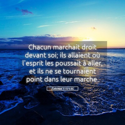 Picture 05 - Ézéchiel 1:12 LSG - Chacun marchait droit devant soi; ils allaient - Bible Verse Picture