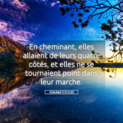 Picture 05 - Ézéchiel 1:17 LSG - En cheminant, elles allaient de leurs quatre - Bible Verse Picture