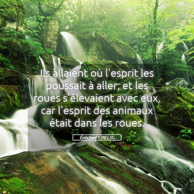 Picture 05 - Ézéchiel 1:20 LSG - Ils allaient où l'esprit les poussait à aller; - Bible Verse Picture