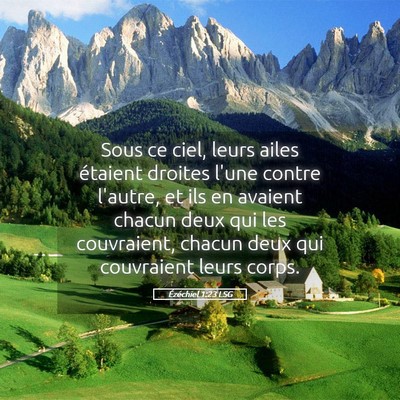 Picture 05 - Ézéchiel 1:23 LSG - Sous ce ciel, leurs ailes étaient droites l'une - Bible Verse Picture