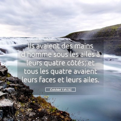Picture 05 - Ézéchiel 1:8 LSG - Ils avaient des mains d'homme sous les ailes à - Bible Verse Picture