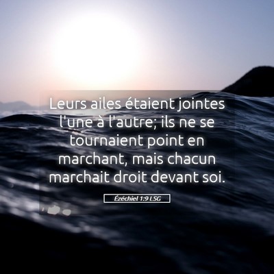 Picture 05 - Ézéchiel 1:9 LSG - Leurs ailes étaient jointes l'une à l'autre; - Bible Verse Picture