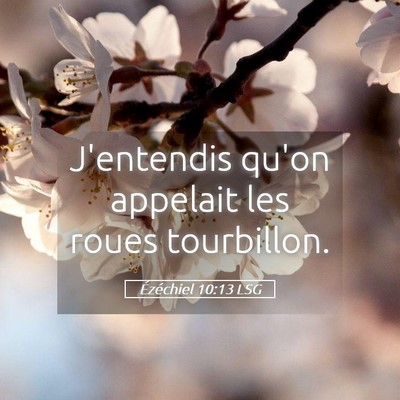 Picture 05 - Ézéchiel 10:13 LSG - J'entendis qu'on appelait les roues - Bible Verse Picture