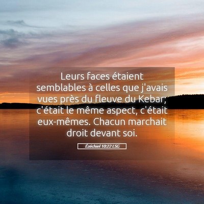 Picture 05 - Ézéchiel 10:22 LSG - Leurs faces étaient semblables à celles que - Bible Verse Picture