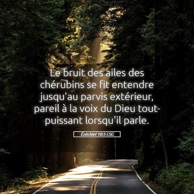 Picture 05 - Ézéchiel 10:5 LSG - Le bruit des ailes des chérubins se fit entendre - Bible Verse Picture