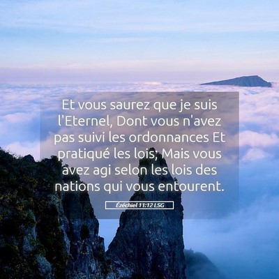 Picture 05 - Ézéchiel 11:12 LSG - Et vous saurez que je suis l'Eternel, Dont vous - Bible Verse Picture
