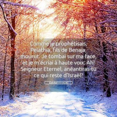 Picture 05 - Ézéchiel 11:13 LSG - Comme je prophétisais, Pelathia, fils de Benaja, - Bible Verse Picture