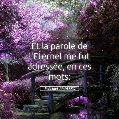 Picture 05 - Ézéchiel 11:14 LSG - Et la parole de l'Eternel me fut adressée, en - Bible Verse Picture